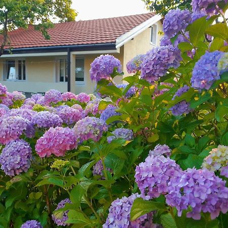 Cvjetni Apartmani Cetinje Exterior photo