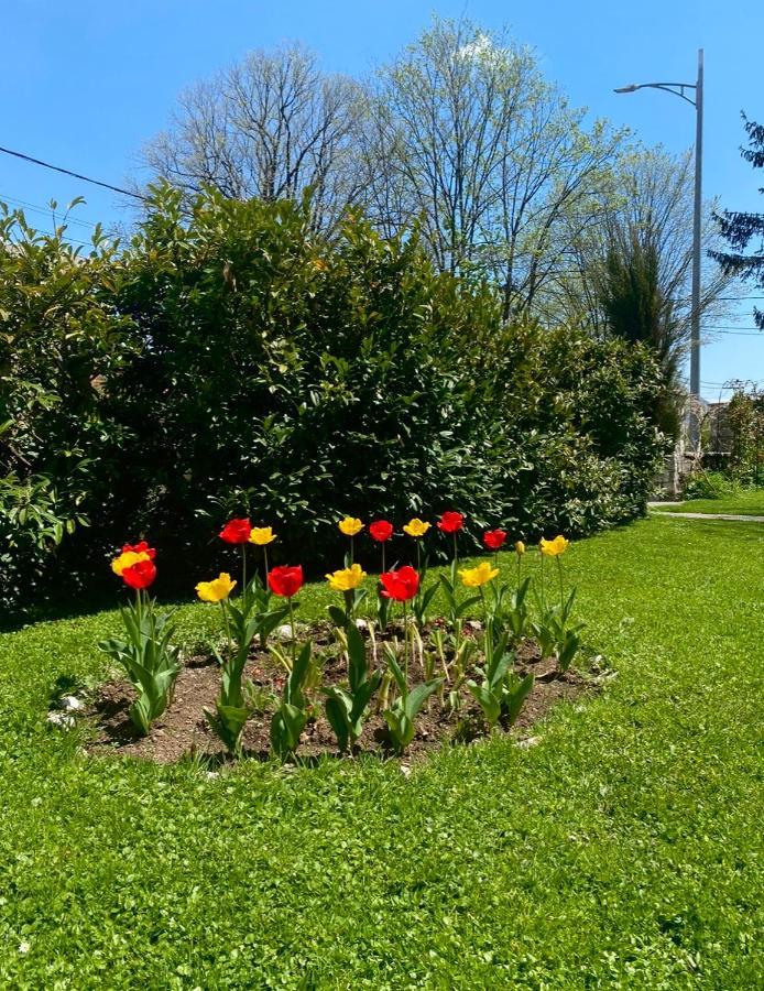 Cvjetni Apartmani Cetinje Exterior photo