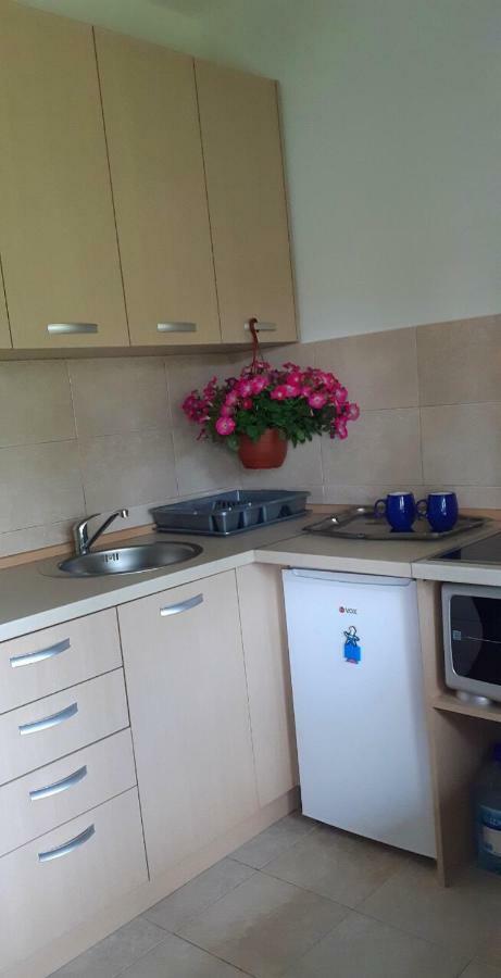 Cvjetni Apartmani Cetinje Exterior photo